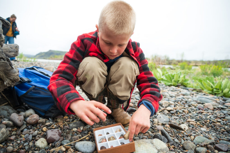 A boy sorting pebbles he has collected into a specimen box on a stony riverbank