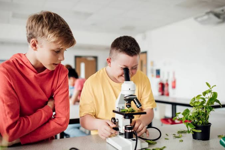 Two pupils examining plant leaves under a microscope in a science lesson