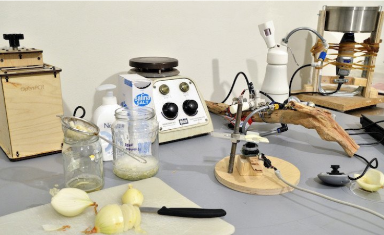 Biology kit equipment laid out ready for a DNA extraction lesson, with onions, jars, a magnetic stirrer and a mini thermal cycler